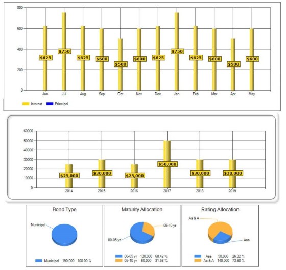 South Carolina Municipal Ladder