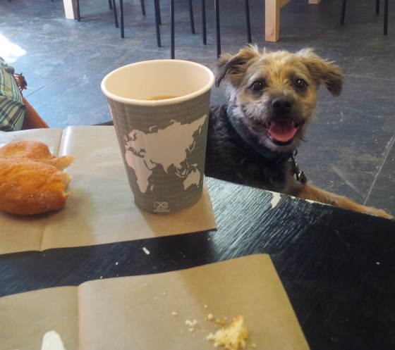 Camper Enjoying Purple Goat